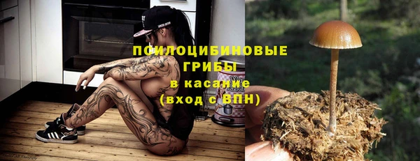 2c-b Аркадак