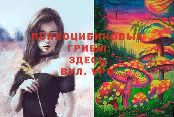 метамфетамин Арсеньев
