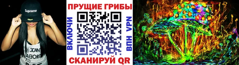 Купить где  Каневская  Псилоцибиновые грибы мухоморы 