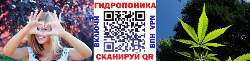 Купить  Каневская  Бошки Шишки VHQ 